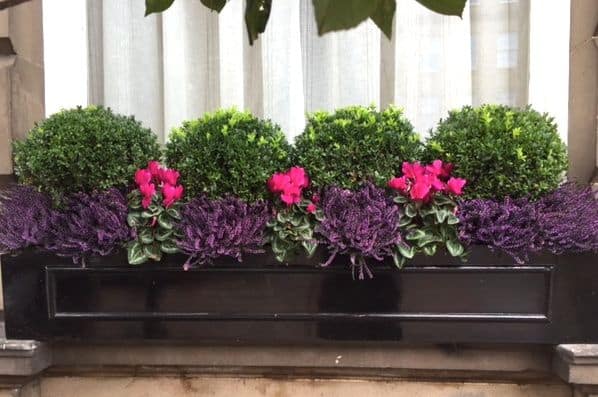 flower-box